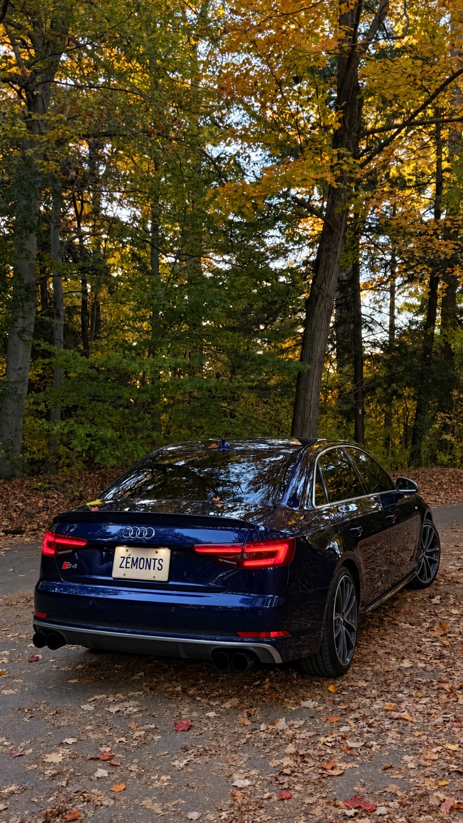 Blue Audi S4 with a ZÉMONTS plate on an autumn forest road